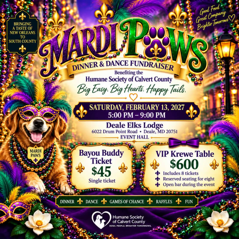 A golden retriever wearing a colorful masquerade mask and beads sits in the foreground of a vibrant Mardi Gras-themed fundraiser flyer set against a festive New Orleans street background.