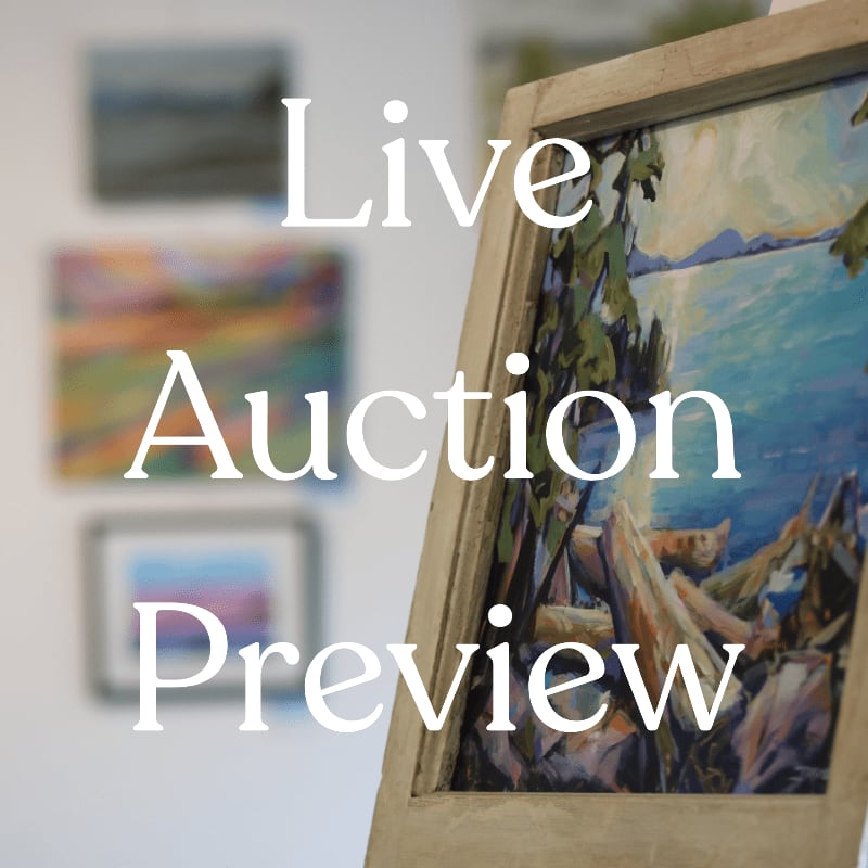 A framed landscape painting sits in the foreground with blurred artworks on a white wall in the background, overlaid with the text "Live Auction Preview."