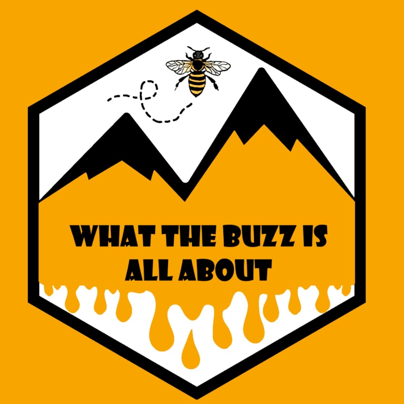 A bee flies above black mountain peaks and the text "WHAT THE BUZZ IS ALL ABOUT" inside a hexagonal frame against a solid yellow background.