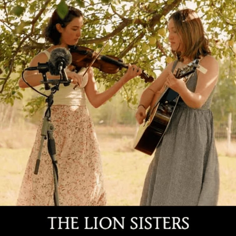 Two women play a violin and a guitar in the foreground while standing beneath the leafy branches of a tree in a sunny outdoor setting.