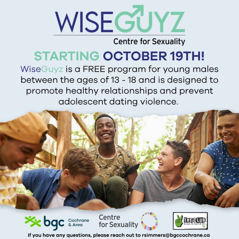 A group of smiling teenage boys sits together in the foreground against a blurred outdoor background of trees and a wooden structure, positioned below promotional text for the "WiseGuyz" program.