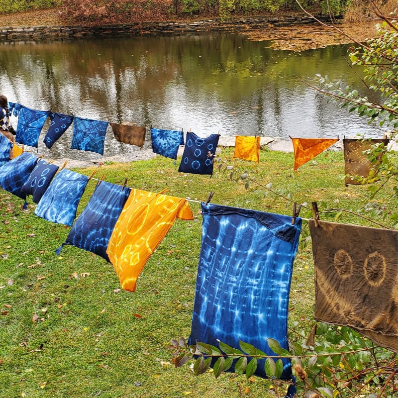 Colorful tie-dyed fabrics hang on clotheslines across a green lawn in front of a calm pond.