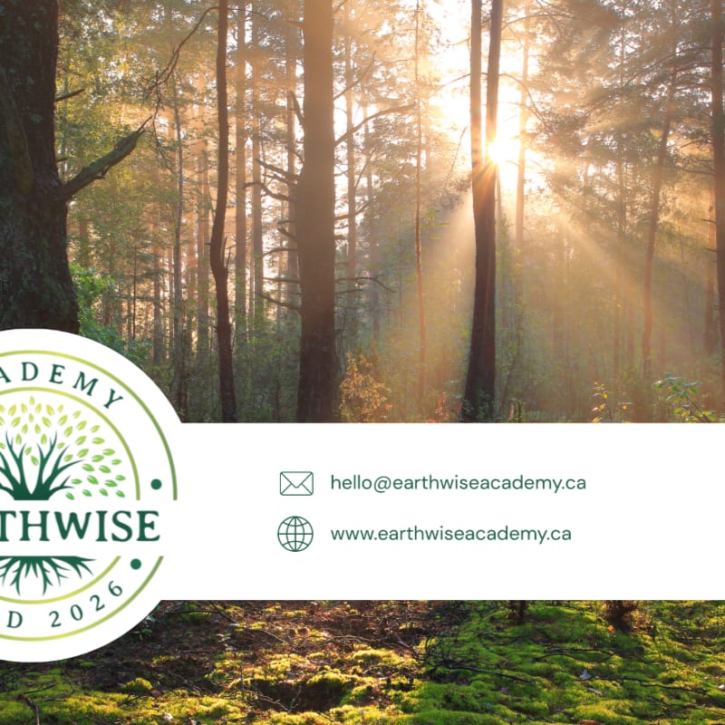 A white contact information banner and a circular green logo overlay a sun-drenched forest with tall trees and a mossy ground.