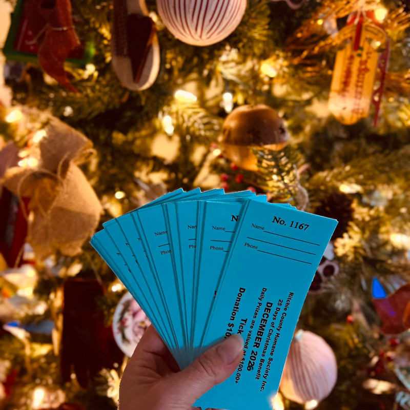 A hand holds a fan of blue raffle tickets in the foreground against a blurred, glowing Christmas tree in the background.