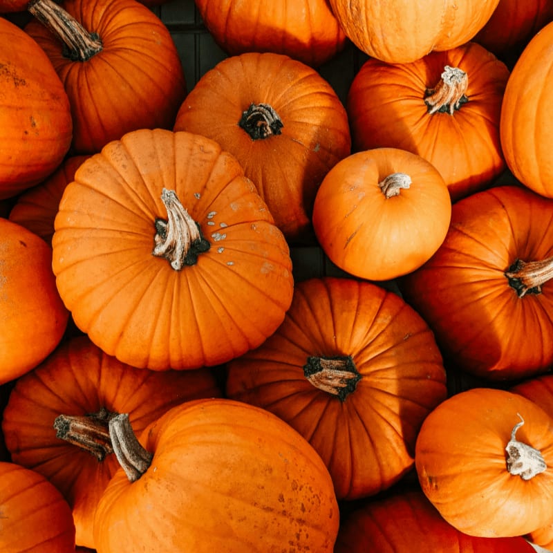 a pile of pumpkins sitting next to each other