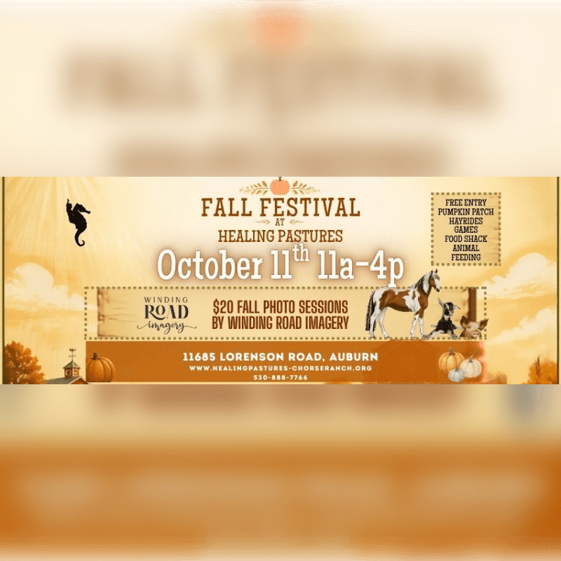 An event flyer for a Fall Festival at Healing Pastures features text and images of a horse and dog in the foreground against a soft, autumnal landscape background.