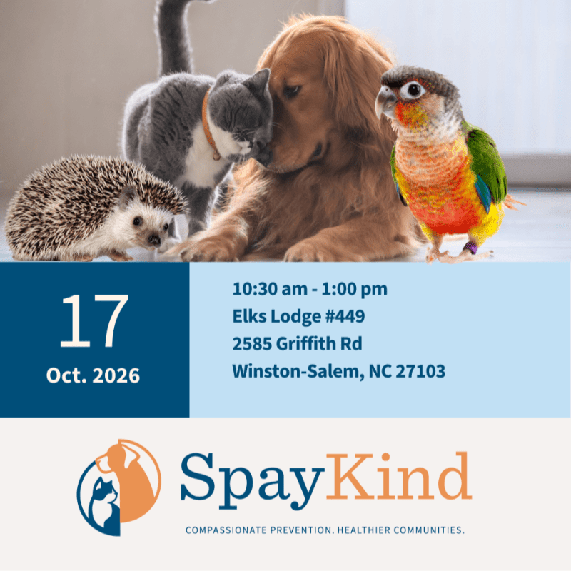 A hedgehog, cat, golden retriever, and parrot are gathered in the foreground above a blue and white event flyer for SpayKind.