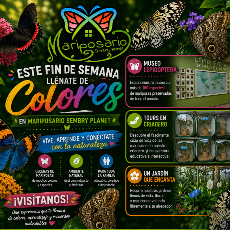 Colorful promotional text and butterfly graphics are layered over a background of lush greenery and close-up photos of various butterflies.