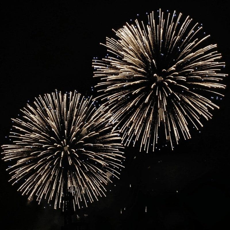 yellow fireworks bursting in dark sky