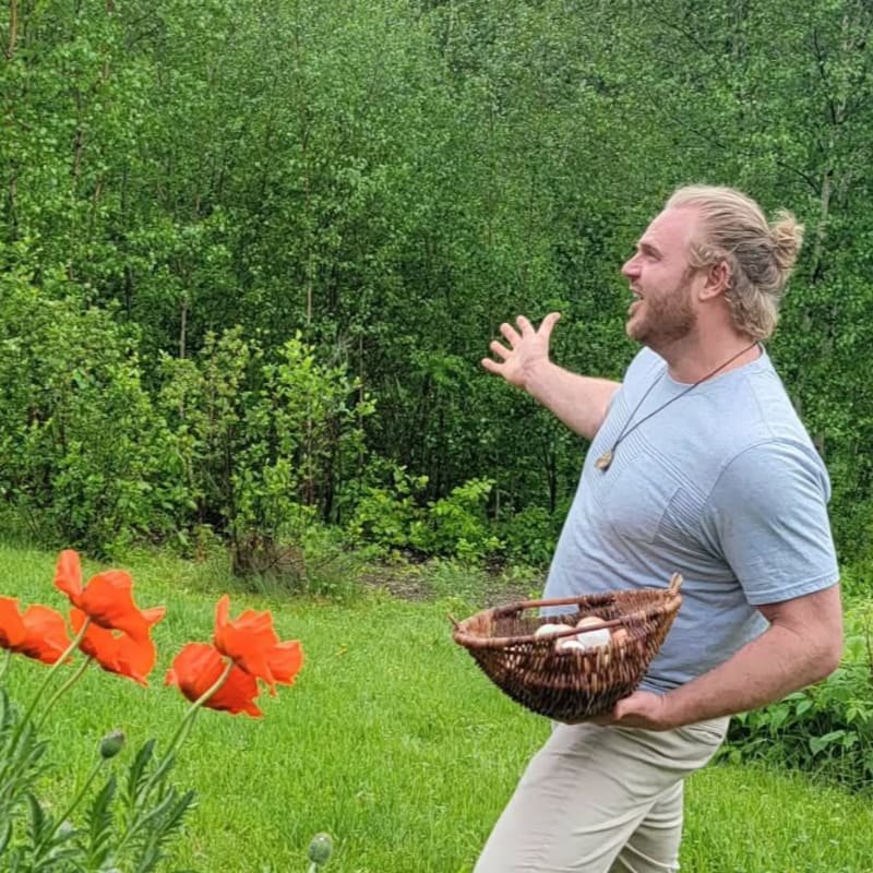 A man holding a basket of mushrooms stands in a grassy field with bright orange poppies in the foreground and a dense green forest in the background.
