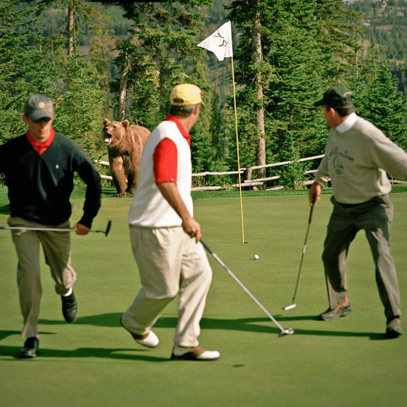 Three golfers on a green are startled by a bear in the background, with a forest and fence behind it.