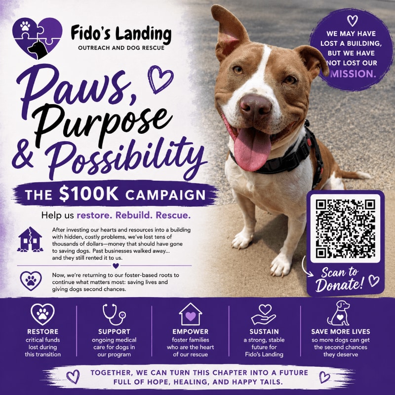 A brown and white dog sits in the foreground of a fundraising flyer for Fido's Landing, set against a blurred outdoor background.