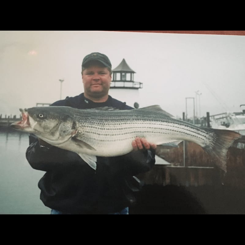 A man in a black jacket holds a large striped bass in the foreground, with a harbor and a small white lighthouse in the background.