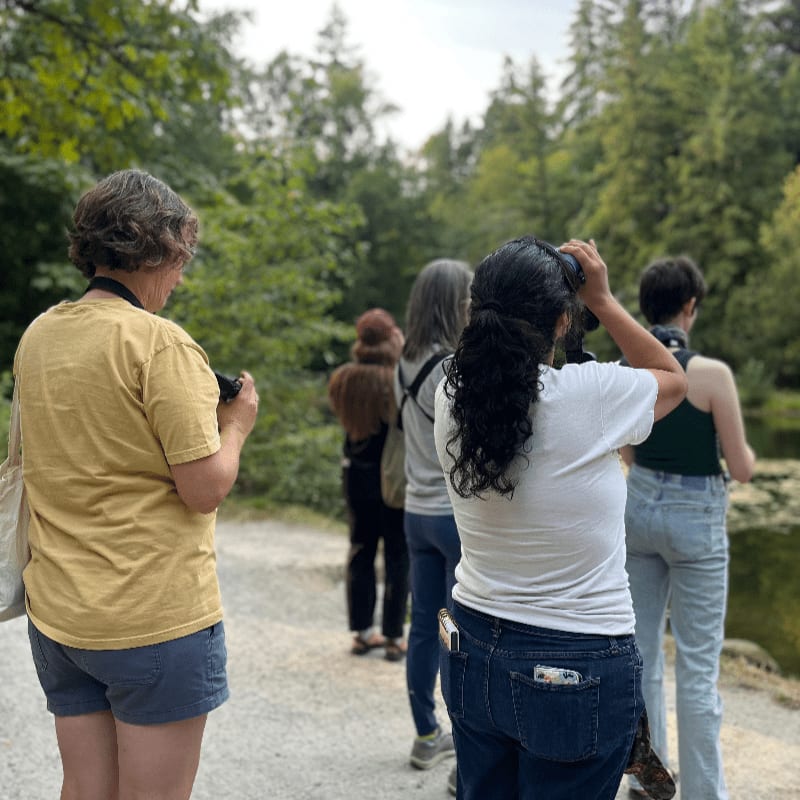 A group of people stand on a gravel path in the foreground, facing a lush forest of green trees in the background.