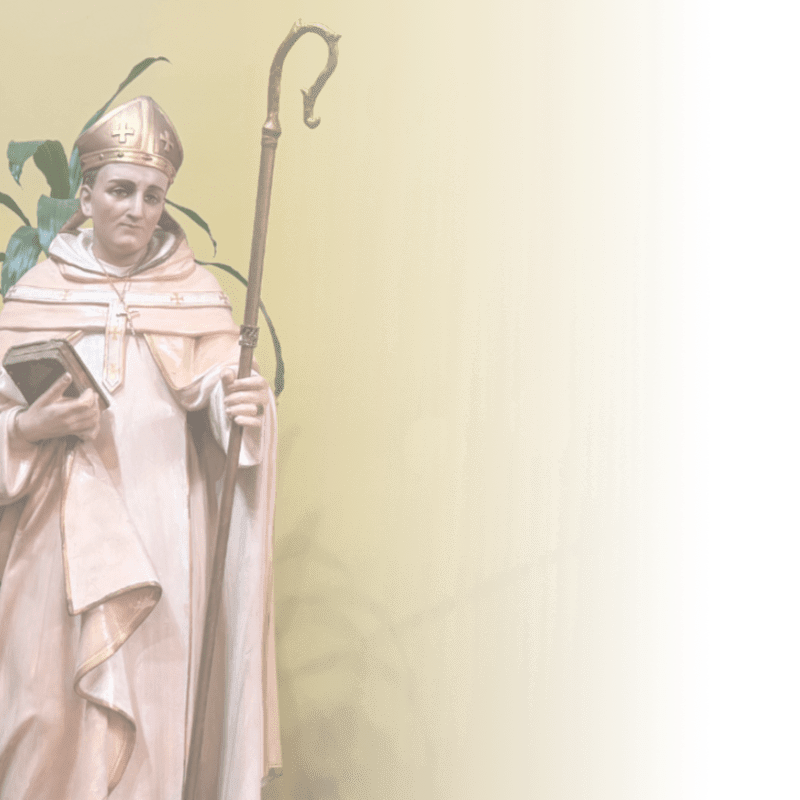 A statue of a bishop holding a book and a crosier stands against a pale, gradient background.
