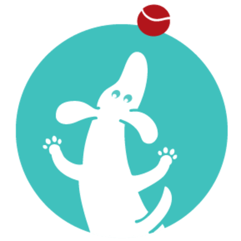 A white stylized dog looks up at a red ball against a turquoise circular background.
