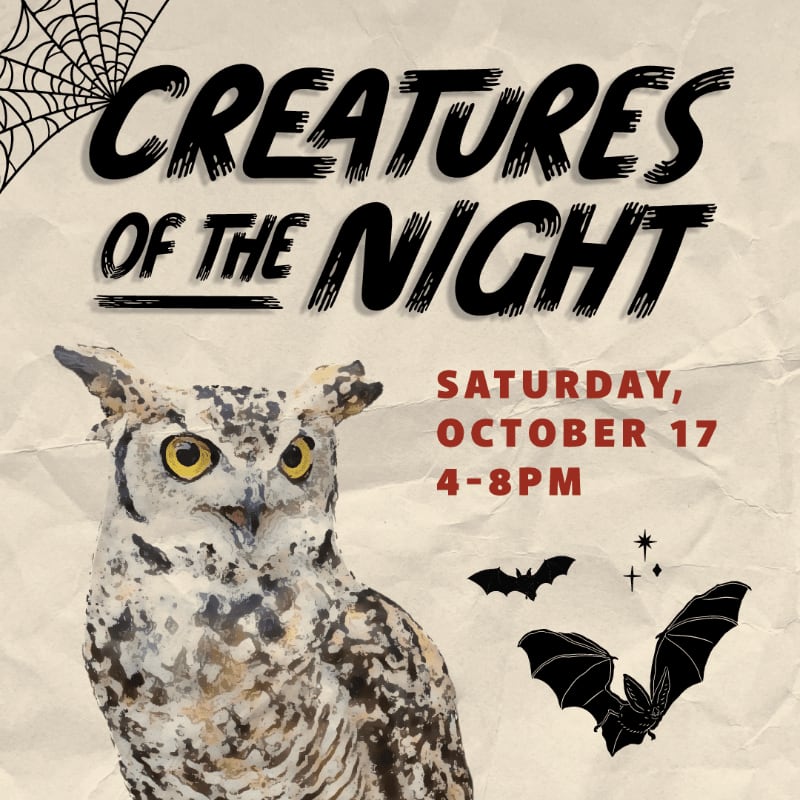 An owl and two bats are featured in the foreground of a crumpled paper background with "Creatures of the Night" text and event details.
