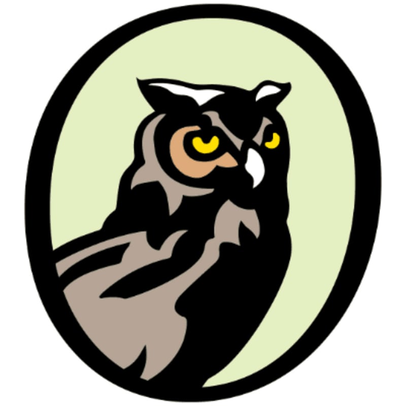A stylized owl with bright yellow eyes is centered within a light green oval, framed by a thick black border.