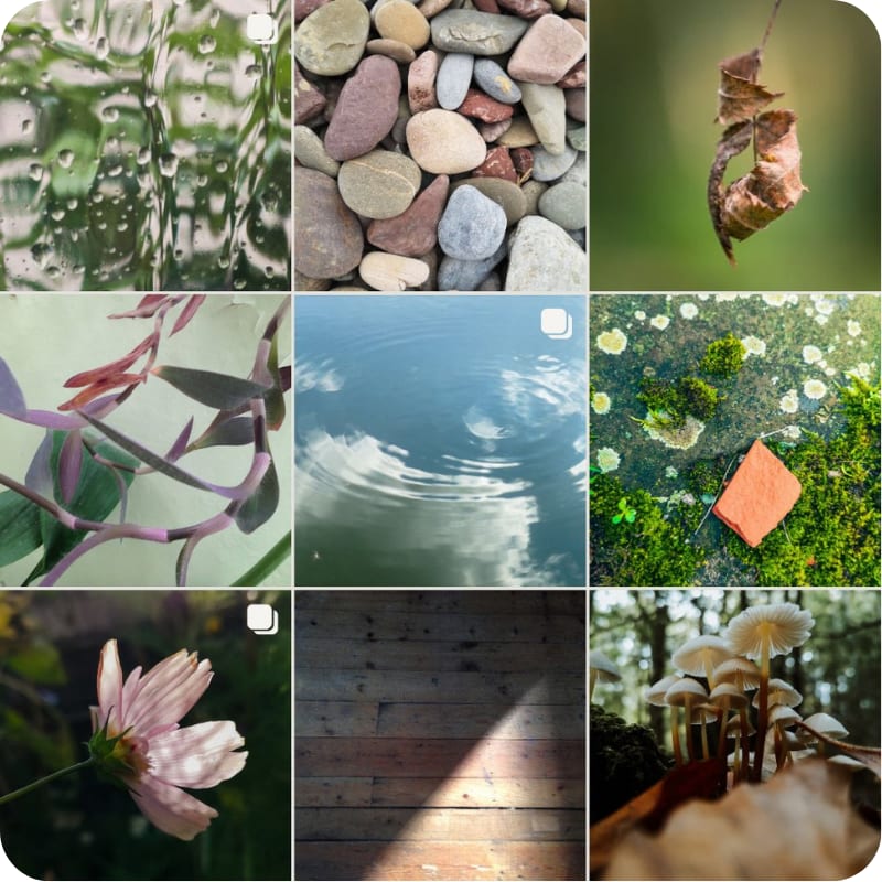 A grid of nine diverse nature-themed photographs featuring textures like water droplets, smooth river stones, a dried leaf, purple-stemmed plants, rippling water, a small orange stone on moss, a pale pink flower, dark wooden planks, and small white mushrooms.