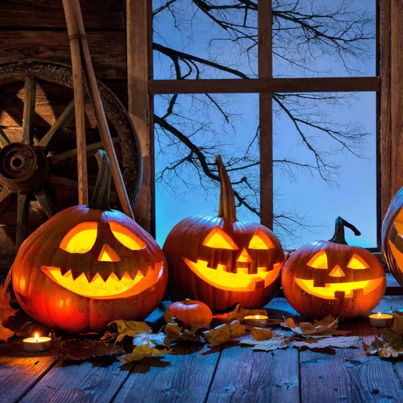 Three glowing jack-o'-lanterns sit on a wooden porch scattered with autumn leaves, set against a background of a rustic window and a dark, leafless tree under a blue twilight sky.