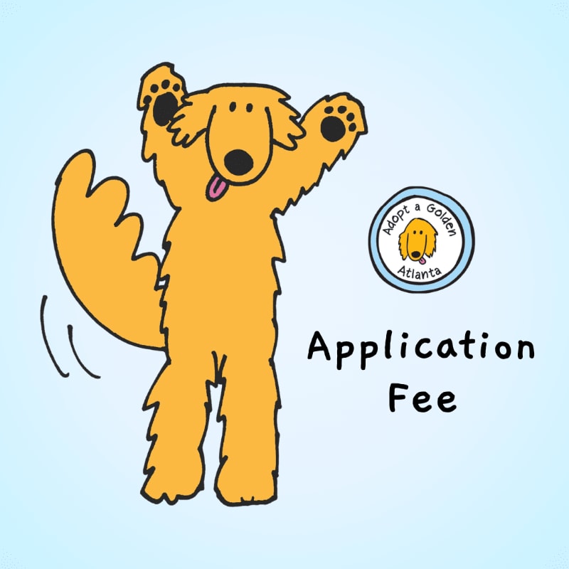 A cartoon golden dog stands next to a logo and the words "Application Fee" against a light blue background.