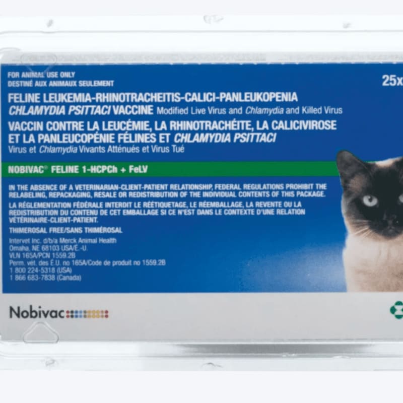 A clear plastic package containing a Nobivac vaccine for cats is shown with a close-up of a Siamese cat's face on the right side of the label.