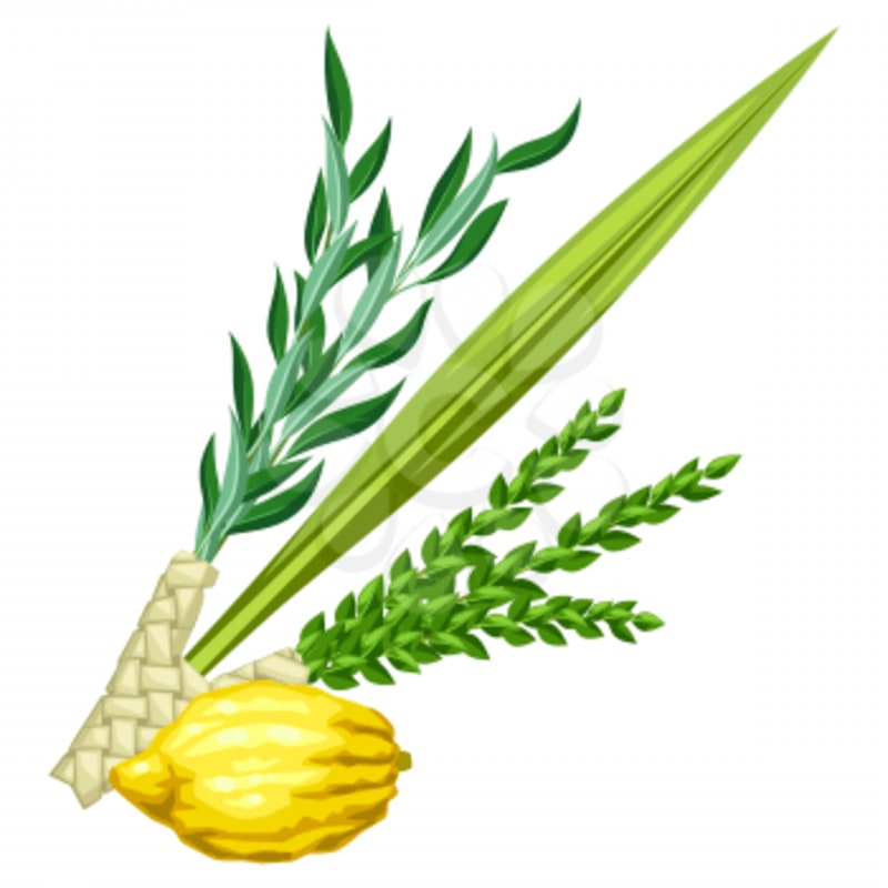 A yellow lemon and green foliage are arranged in the foreground against a plain white background.