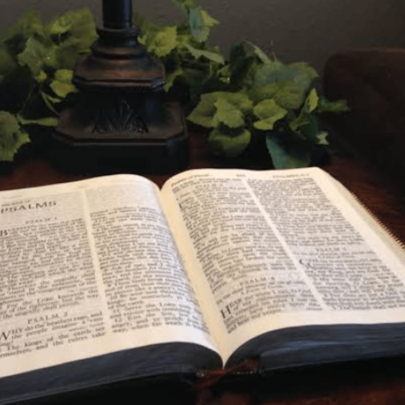 An open Bible rests in the foreground on a wooden surface, with a dark lamp base and green foliage in the background.