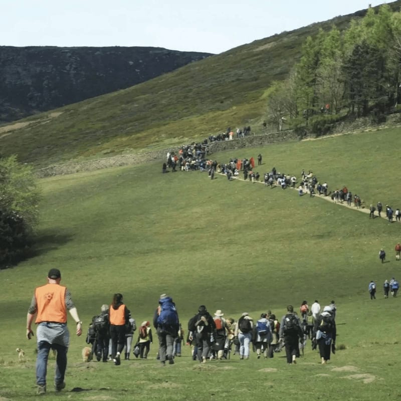 A group of hikers walks across a grassy field in the foreground, while a long line of people trails up a hillside toward distant mountains in the background.