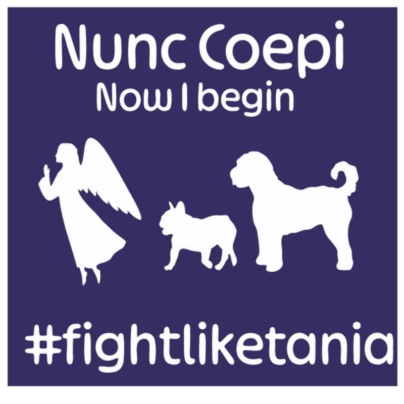 White silhouettes of an angel, a French bulldog, and a poodle stand on a dark purple background with the text "Nunc Coepi Now I begin" above and "#fightliketania" below.