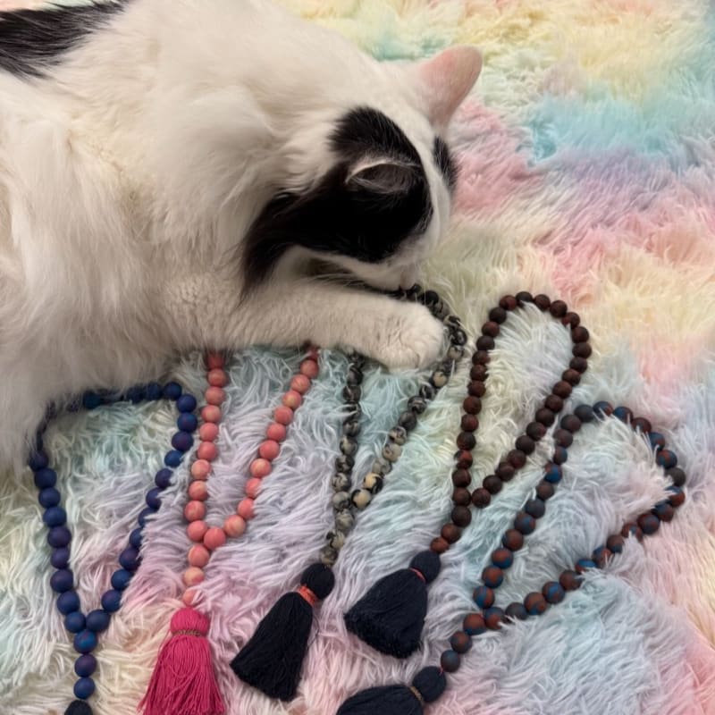 A black and white cat rests its paw on several colorful beaded prayer necklaces laid across a pastel rainbow faux-fur rug.