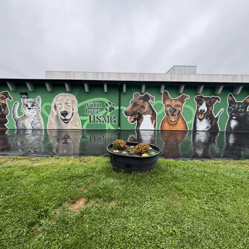 A green paw print inside a circle is on the left, with the words "Humane Society of Monroe County" in green text to the right, all set against a white background with a subtle green gradient.