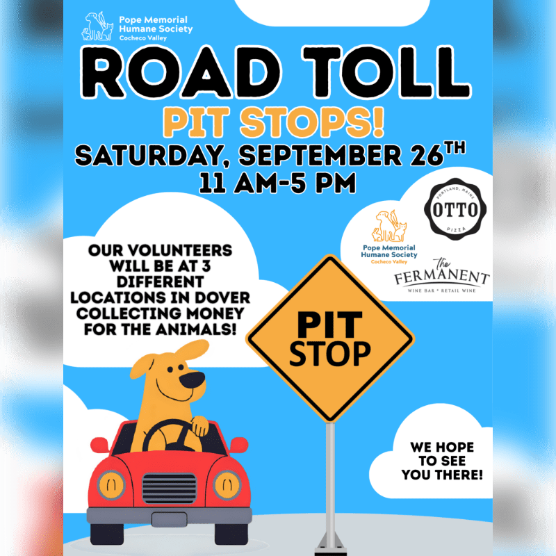 A cartoon dog in a red car and a "PIT STOP" sign stand in the foreground against a blue sky background with event text for the Pope Memorial Humane Society.