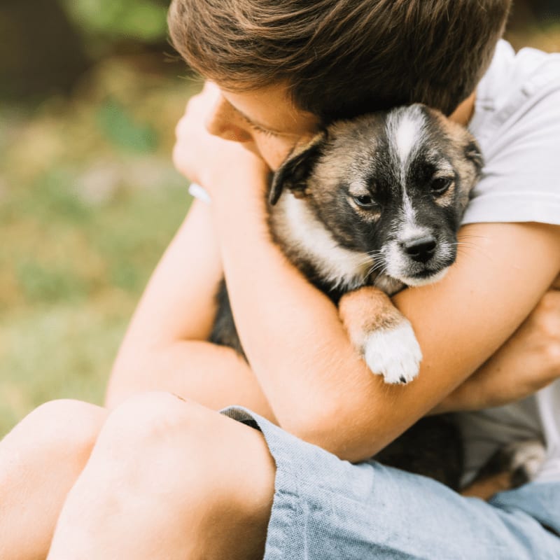 A person hugs a small, fluffy puppy in the foreground against a blurred green outdoor background.