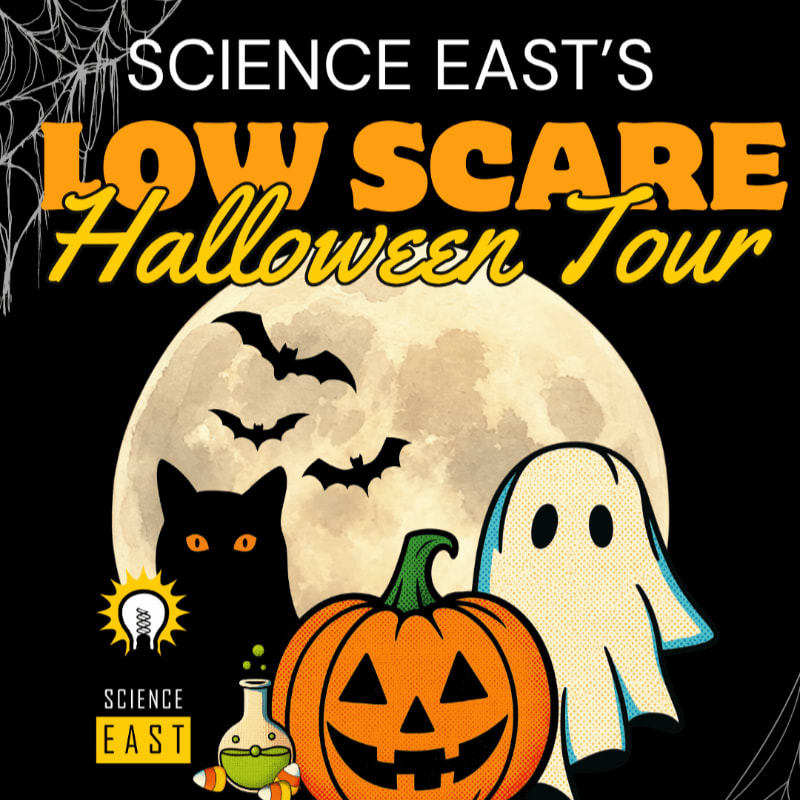 A jack-o'-lantern, a ghost, and a black cat sit in the foreground against a background of a large full moon with flying bats and a spiderweb.