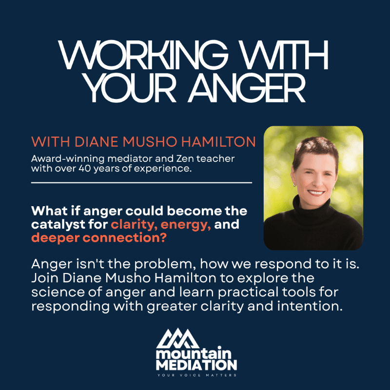 White and red text promoting a workshop on anger management sits in the foreground against a dark blue background, accompanied by a portrait of Diane Musho Hamilton.