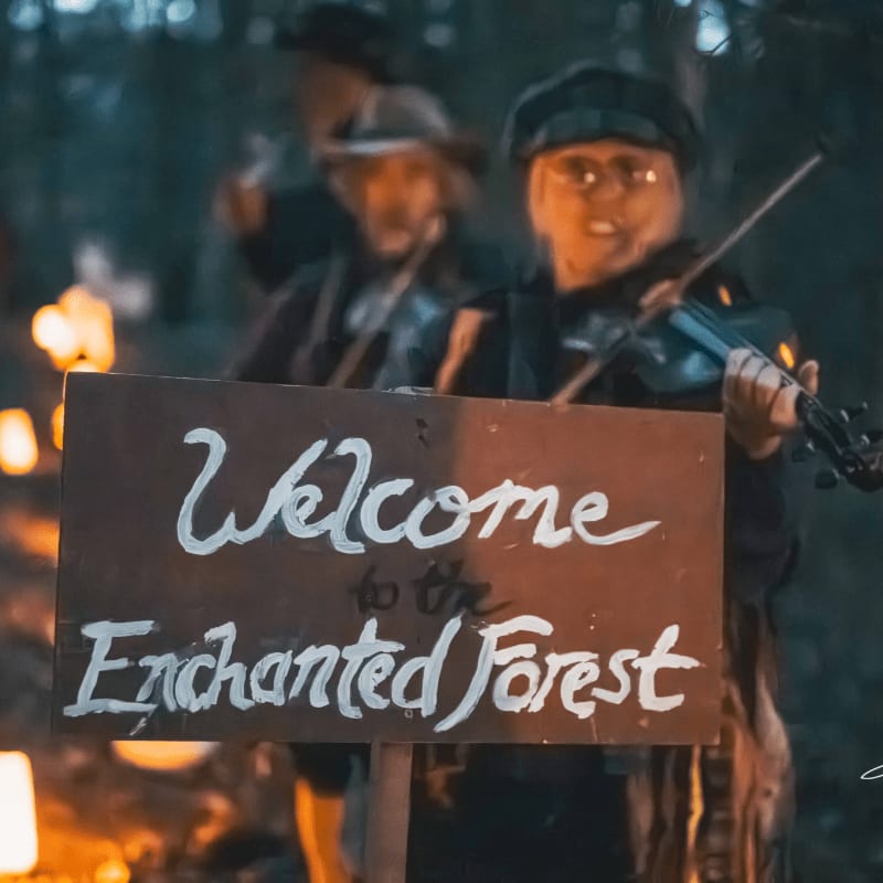 A wooden sign reading "Welcome to the Enchanted Forest" stands in the foreground, while blurred musicians play instruments in a dimly lit, wooded background.