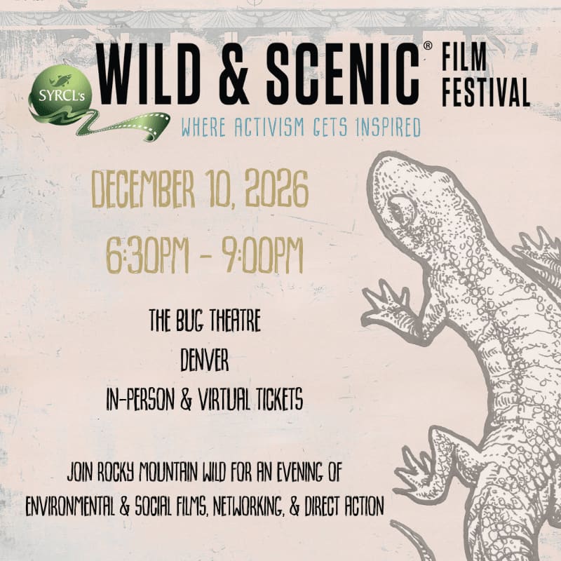 A detailed sketch of a lizard sits in the foreground against a light-colored background featuring text for the "Wild & Scenic Film Festival" on December 10, 2026.