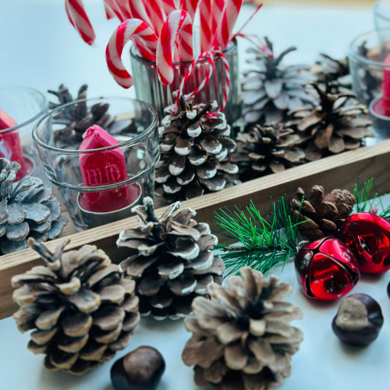 pine cones, candy canes, and pine cones are arranged on a tray