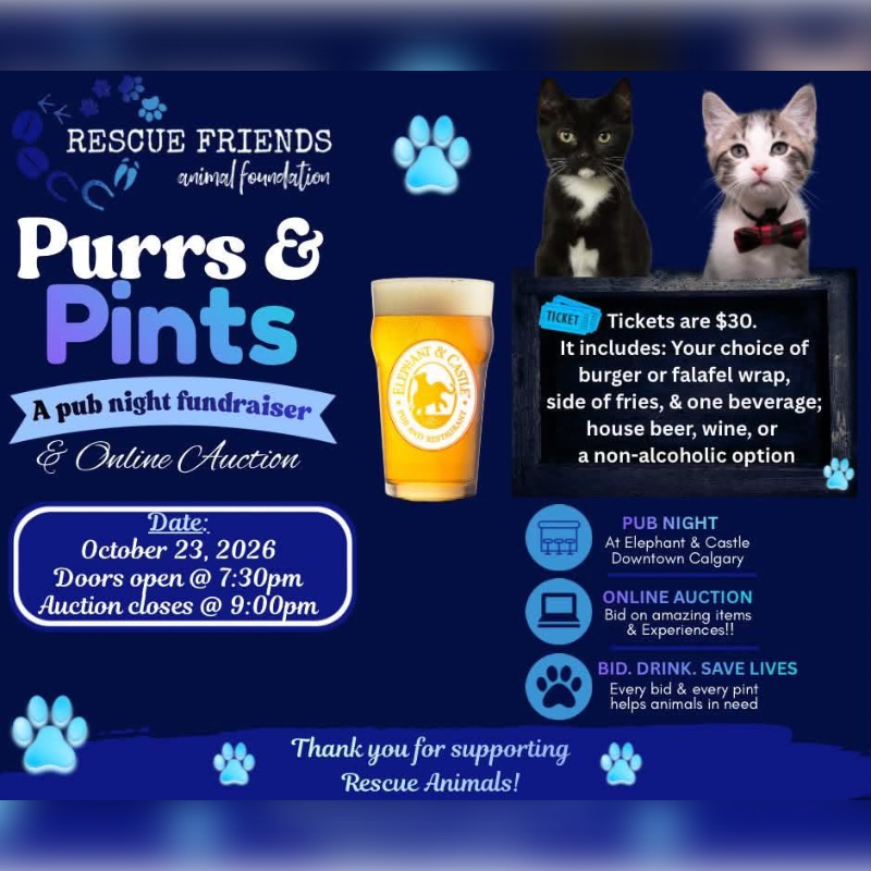 A promotional flyer for a "Purrs & Pints" fundraiser features text, two kittens, and a glass of beer in the foreground against a dark blue background decorated with paw prints.