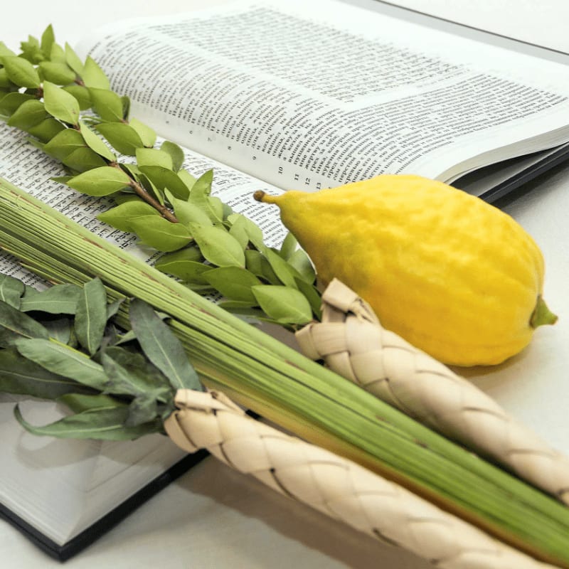 A yellow lemon and bundles of green palms lie in the foreground atop an open book in the background.
