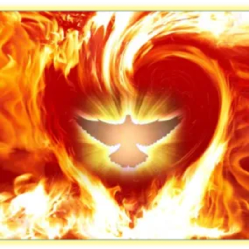 A glowing white dove is centered in the foreground, surrounded by swirling orange and yellow flames in the background.