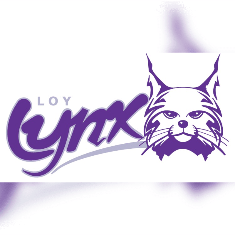 A purple "Loy Lynx" logo and lynx head illustration are set against a white background with soft purple gradients.