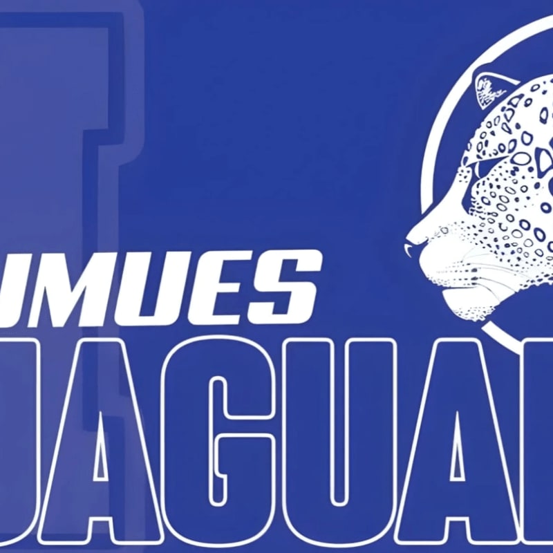 White text reading "UMUES JAGUARS" and a white jaguar profile are set against a blue background.