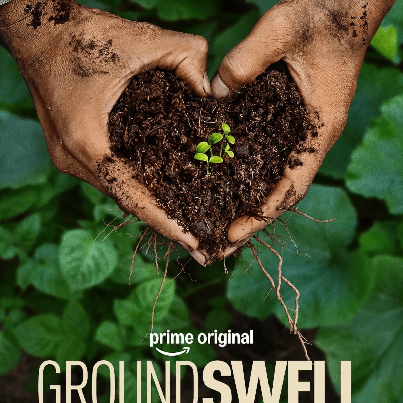 Two soil-covered hands form a heart shape around a small green sprout in the foreground, set against a blurred background of lush green foliage.