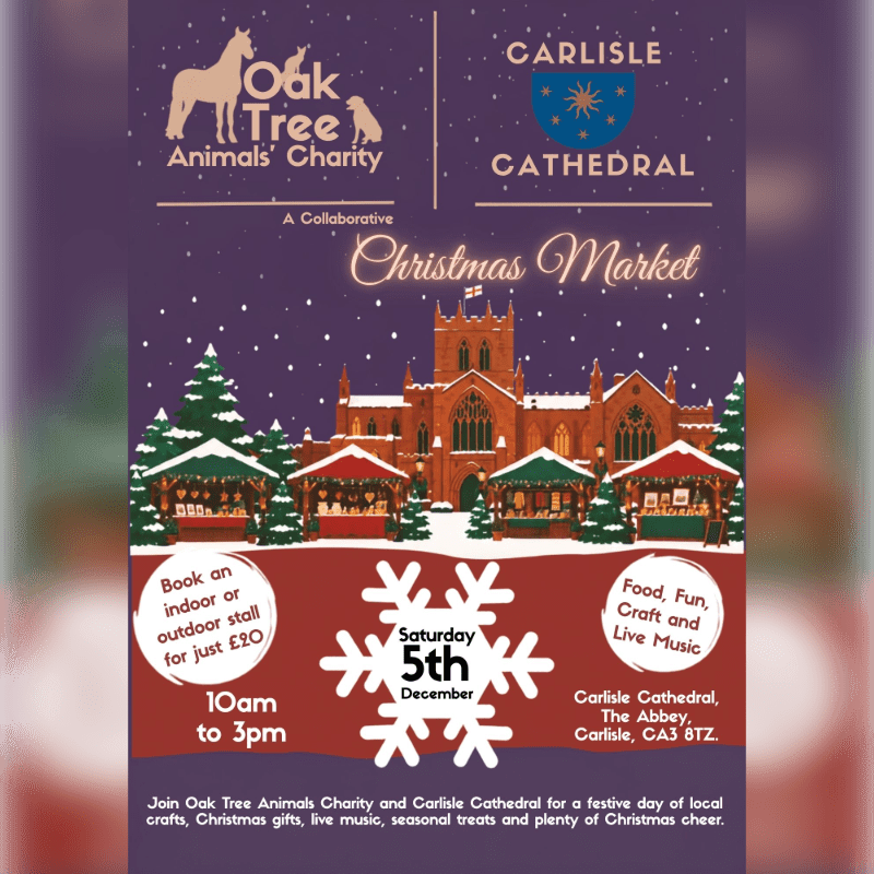 A promotional flyer for a Christmas Market features a snowy cathedral and market stalls in the center, set against a purple background with charity and cathedral logos at the top.