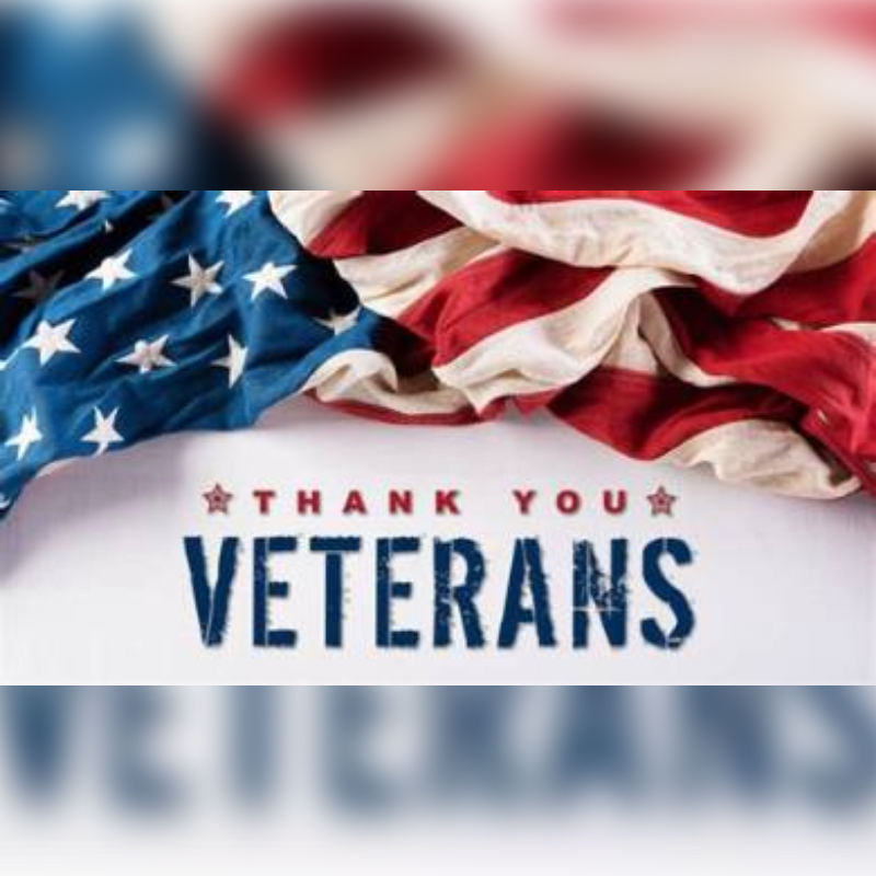 An American flag drapes over the text "THANK YOU VETERANS" against a blurred background.