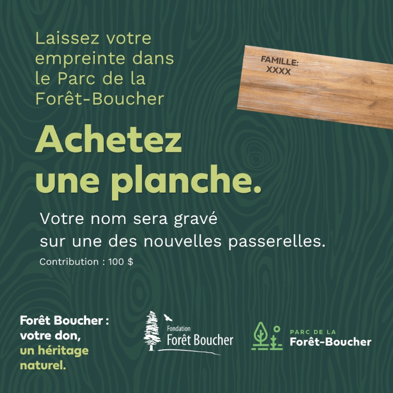French text and logos are layered over a dark green wood-grain background, with a single engraved wooden plank positioned in the upper right.