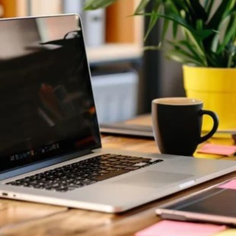 An open laptop and a black coffee mug sit on a wooden desk in the foreground, with a potted green plant in a yellow pot in the blurred background.