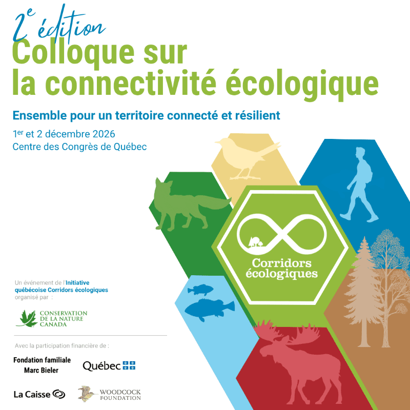 Green, yellow, blue, and red hexagonal tiles featuring silhouettes of animals, a person, and trees are arranged in the foreground against a white background with French text.